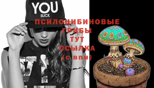 эйфоретик Алексин