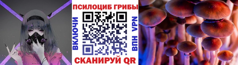 Псилоцибиновые грибы мицелий  Гдов 